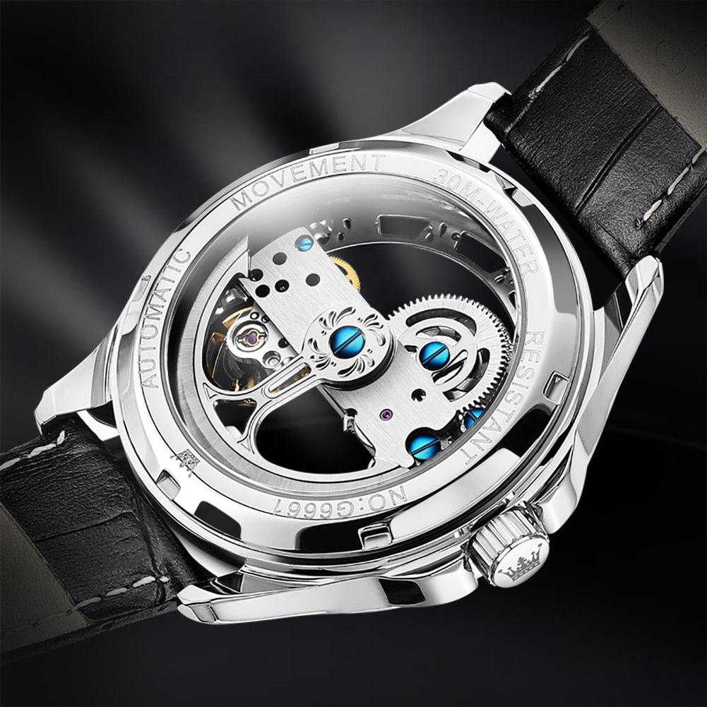 Luxury Watch - OLEVS