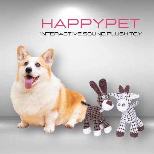 HappyPet - Squeaky Dog Toy